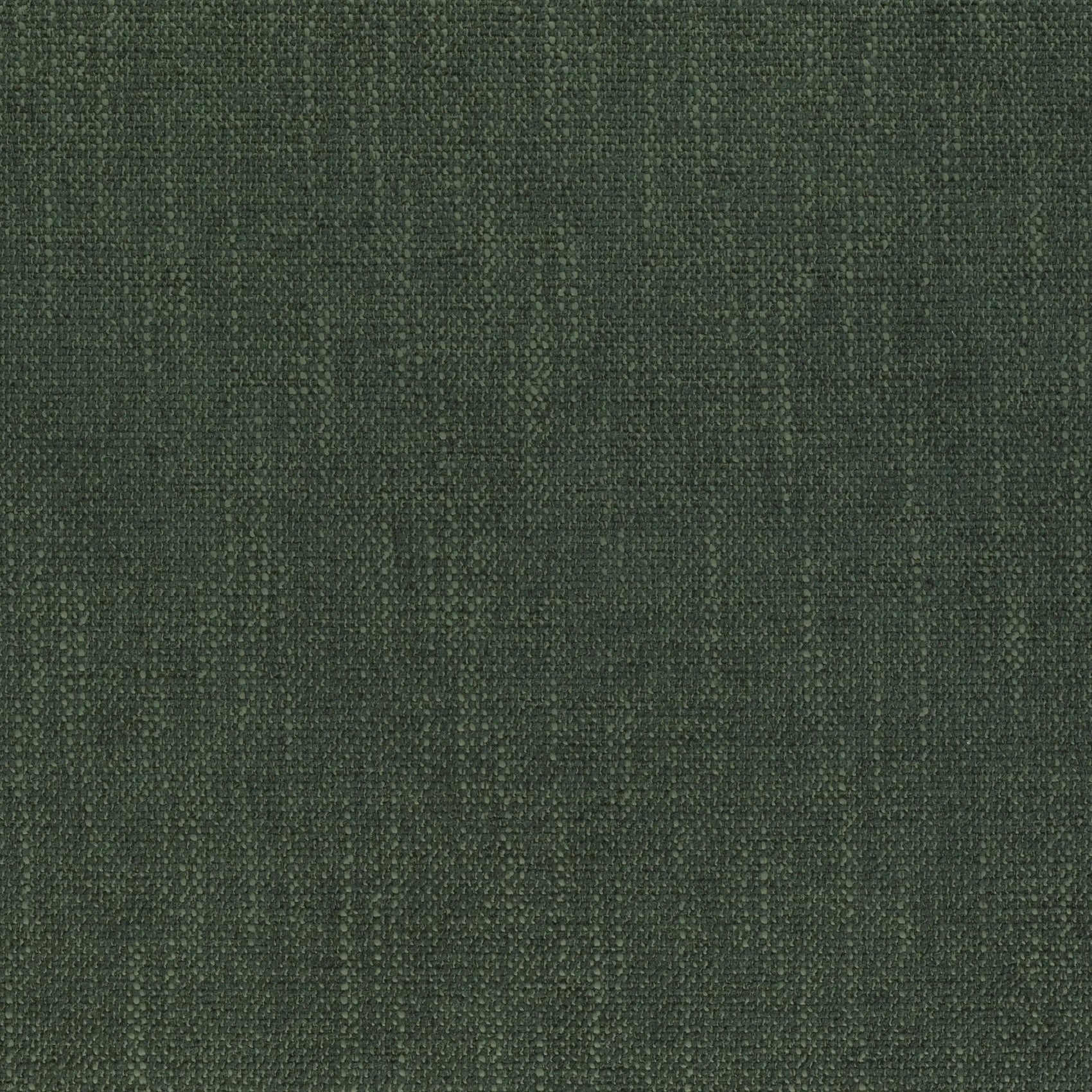 Robusta Basil - HENDRICKS