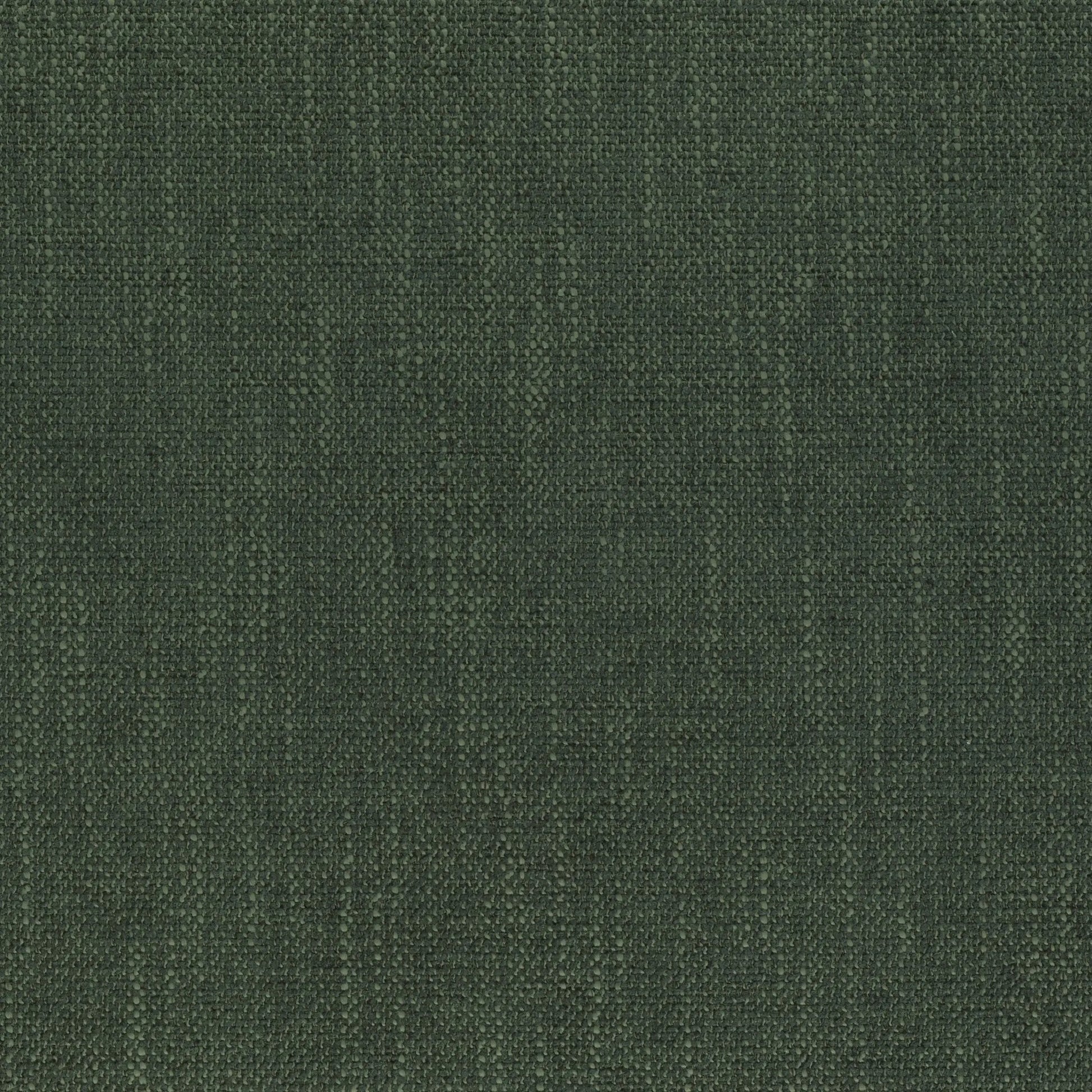 Robusta Basil - HENDRICKS